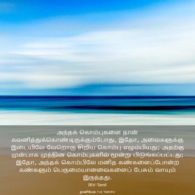 Picture 03 - தானியேல் 7:8 TAMIRV - அந்தக் கொம்புகளை - Bible Verse Picture