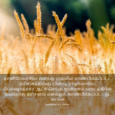 Picture 03 - தானியேல் 8:1 TAMIRV - தானியேலாகிய - Bible Verse Picture