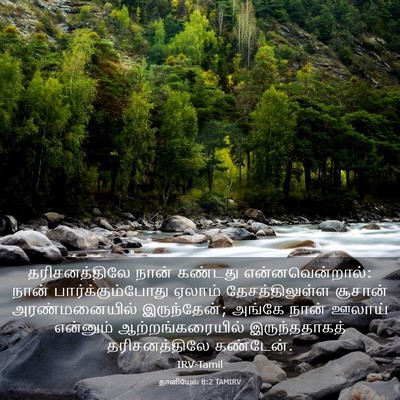 Picture 03 - தானியேல் 8:2 TAMIRV - தரிசனத்திலே நான் - Bible Verse Picture