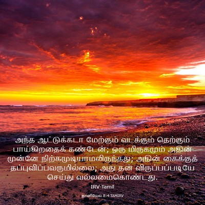 Picture 03 - தானியேல் 8:4 TAMIRV - அந்த ஆட்டுக்கடா - Bible Verse Picture