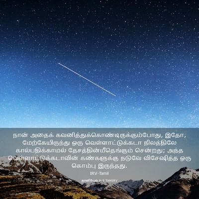 Picture 03 - தானியேல் 8:5 TAMIRV - நான் அதைக் - Bible Verse Picture