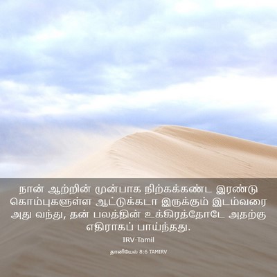 Picture 03 - தானியேல் 8:6 TAMIRV - நான் ஆற்றின் - Bible Verse Picture