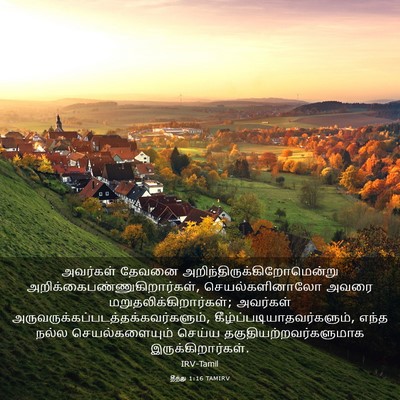 Picture 03 - தீத்து 1:16 TAMIRV - அவர்கள் தேவனை - Bible Verse Picture