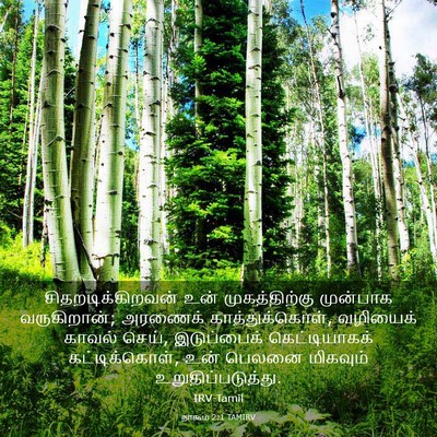 Picture 03 - நாகூம் 2:1 TAMIRV - சிதறடிக்கிறவன் - Bible Verse Picture