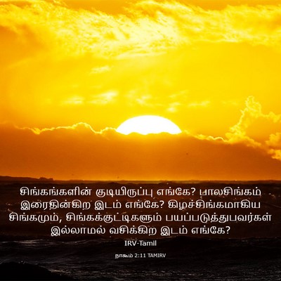 Picture 03 - நாகூம் 2:11 TAMIRV - சிங்கங்களின் - Bible Verse Picture