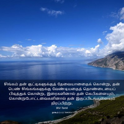 Picture 03 - நாகூம் 2:12 TAMIRV - சிங்கம் தன் - Bible Verse Picture