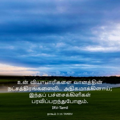 Picture 03 - நாகூம் 3:16 TAMIRV - உன் வியாபாரிகளை - Bible Verse Picture