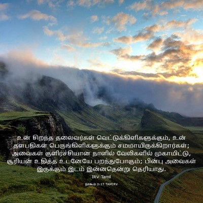 Picture 03 - நாகூம் 3:17 TAMIRV - உன் சிறந்த - Bible Verse Picture