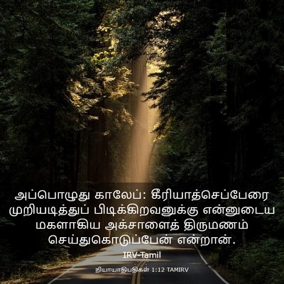 Picture 03 - நியாயாதிபதிகள் 1:12 TAMIRV - அப்பொழுது காலேப்: - Bible Verse Picture