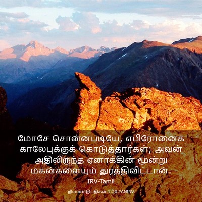 Picture 03 - நியாயாதிபதிகள் 1:20 TAMIRV - மோசே சொன்னபடியே, - Bible Verse Picture