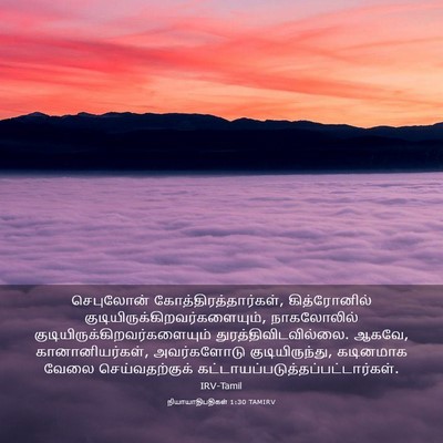 Picture 03 - நியாயாதிபதிகள் 1:30 TAMIRV - செபுலோன் - Bible Verse Picture