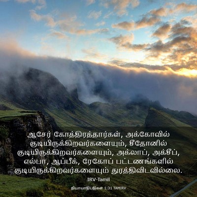 Picture 03 - நியாயாதிபதிகள் 1:31 TAMIRV - ஆசேர் - Bible Verse Picture