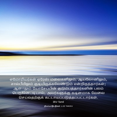 Picture 03 - நியாயாதிபதிகள் 1:35 TAMIRV - எமோரியர்கள் ஏரேஸ் - Bible Verse Picture