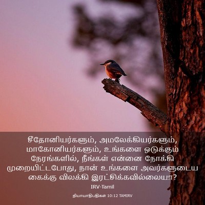 Picture 03 - நியாயாதிபதிகள் 10:12 TAMIRV - சீதோனியர்களும், - Bible Verse Picture