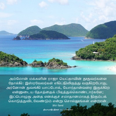 Picture 03 - நியாயாதிபதிகள் 11:13 TAMIRV - அம்மோன் மக்களின் - Bible Verse Picture