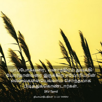 Picture 03 - நியாயாதிபதிகள் 11:22 TAMIRV - யாப்போக்வரை, - Bible Verse Picture
