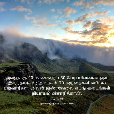 Picture 03 - நியாயாதிபதிகள் 12:14 TAMIRV - அவனுக்கு 40 - Bible Verse Picture