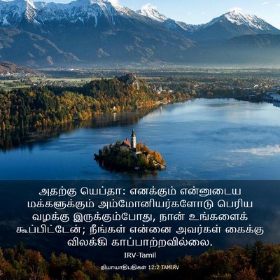 Picture 03 - நியாயாதிபதிகள் 12:2 TAMIRV - அதற்கு யெப்தா: - Bible Verse Picture