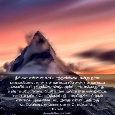Picture 03 - நியாயாதிபதிகள் 12:3 TAMIRV - நீங்கள் என்னை - Bible Verse Picture