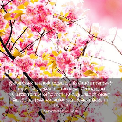 Picture 03 - நியாயாதிபதிகள் 13:1 TAMIRV - இஸ்ரவேல் மக்கள் - Bible Verse Picture