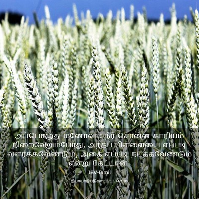 Picture 03 - நியாயாதிபதிகள் 13:12 TAMIRV - அப்பொழுது மனோவா: - Bible Verse Picture