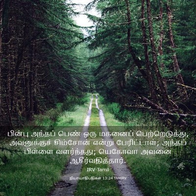 Picture 03 - நியாயாதிபதிகள் 13:24 TAMIRV - பின்பு அந்தப் - Bible Verse Picture