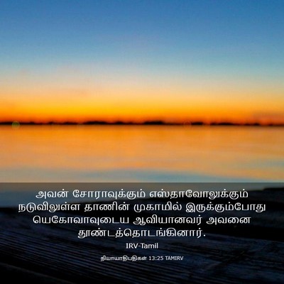 Picture 03 - நியாயாதிபதிகள் 13:25 TAMIRV - அவன் சோராவுக்கும் - Bible Verse Picture