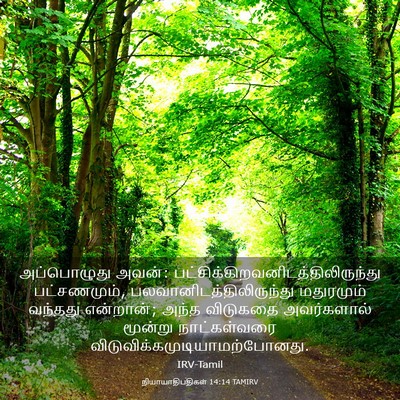 Picture 03 - நியாயாதிபதிகள் 14:14 TAMIRV - அப்பொழுது அவன்: - Bible Verse Picture