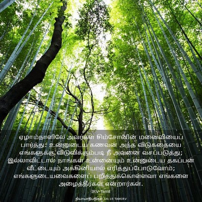 Picture 03 - நியாயாதிபதிகள் 14:15 TAMIRV - ஏழாம்நாளிலே - Bible Verse Picture