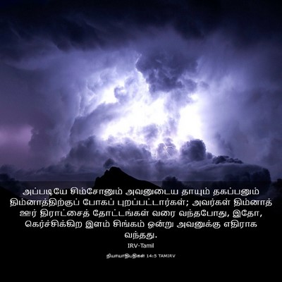Picture 03 - நியாயாதிபதிகள் 14:5 TAMIRV - அப்படியே - Bible Verse Picture