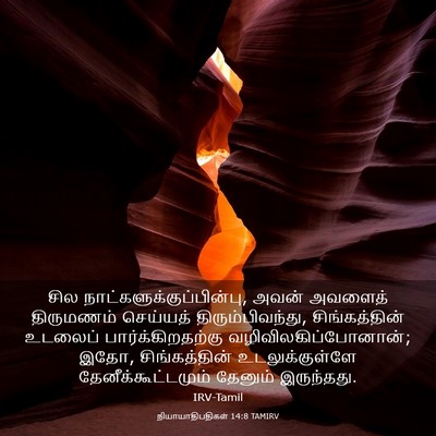 Picture 03 - நியாயாதிபதிகள் 14:8 TAMIRV - சில - Bible Verse Picture