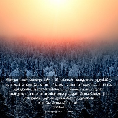 Picture 03 - நியாயாதிபதிகள் 15:1 TAMIRV - சிலநாட்கள் - Bible Verse Picture