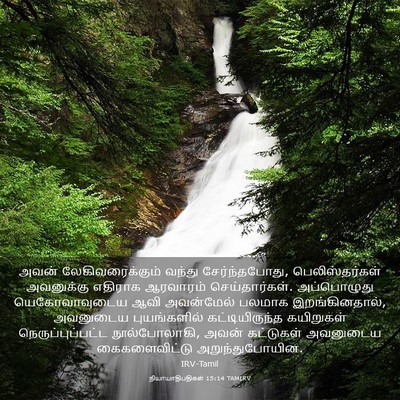 Picture 03 - நியாயாதிபதிகள் 15:14 TAMIRV - அவன் - Bible Verse Picture