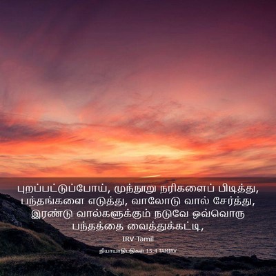 Picture 03 - நியாயாதிபதிகள் 15:4 TAMIRV - புறப்பட்டுப்போய், - Bible Verse Picture