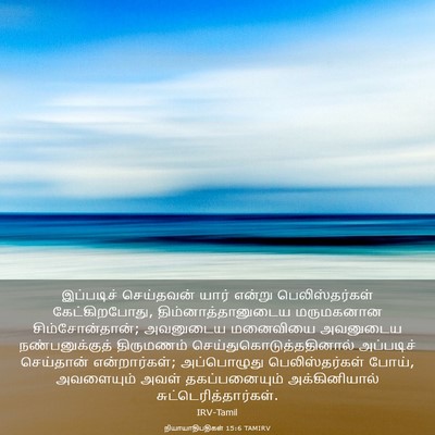 Picture 03 - நியாயாதிபதிகள் 15:6 TAMIRV - இப்படிச் செய்தவன் - Bible Verse Picture
