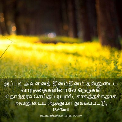 Picture 03 - நியாயாதிபதிகள் 16:16 TAMIRV - இப்படி அவனைத் - Bible Verse Picture