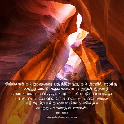 Picture 03 - நியாயாதிபதிகள் 16:3 TAMIRV - சிம்சோன் - Bible Verse Picture
