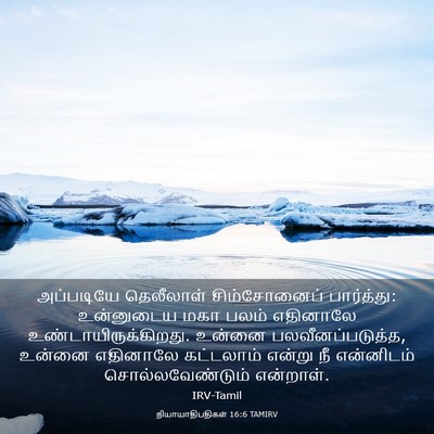 Picture 03 - நியாயாதிபதிகள் 16:6 TAMIRV - அப்படியே தெலீலாள் - Bible Verse Picture