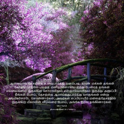 Picture 03 - நியாயாதிபதிகள் 18:2 TAMIRV - ஆகையால் தேசத்தை - Bible Verse Picture