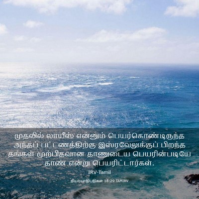 Picture 03 - நியாயாதிபதிகள் 18:29 TAMIRV - முதலில் லாயீஸ் - Bible Verse Picture