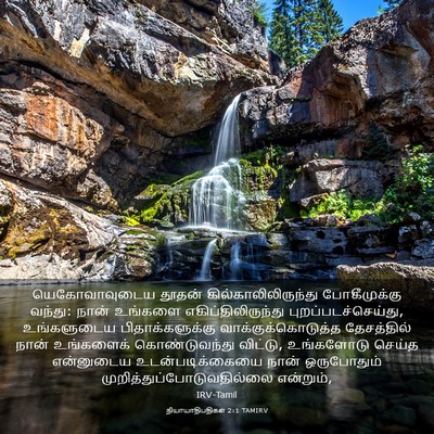 Picture 03 - நியாயாதிபதிகள் 2:1 TAMIRV - யெகோவாவுடைய தூதன் - Bible Verse Picture