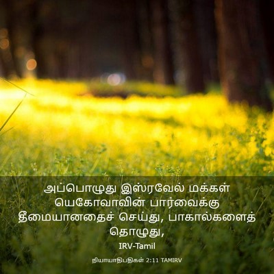 Picture 03 - நியாயாதிபதிகள் 2:11 TAMIRV - அப்பொழுது - Bible Verse Picture