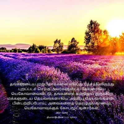 Picture 03 - நியாயாதிபதிகள் 2:12 TAMIRV - தங்களுடைய - Bible Verse Picture