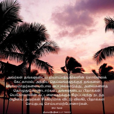 Picture 03 - நியாயாதிபதிகள் 2:17 TAMIRV - அவர்கள் தங்களுடைய - Bible Verse Picture