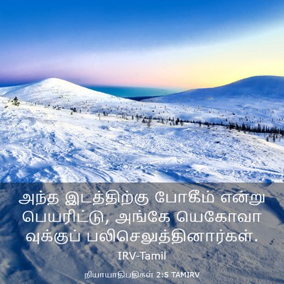 Picture 03 - நியாயாதிபதிகள் 2:5 TAMIRV - அந்த இடத்திற்கு - Bible Verse Picture