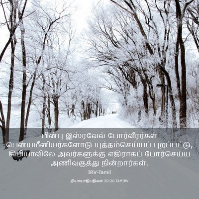 Picture 03 - நியாயாதிபதிகள் 20:20 TAMIRV - பின்பு இஸ்ரவேல் - Bible Verse Picture