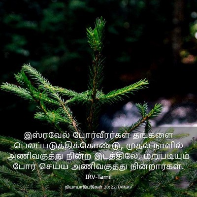 Picture 03 - நியாயாதிபதிகள் 20:22 TAMIRV - இஸ்ரவேல் - Bible Verse Picture