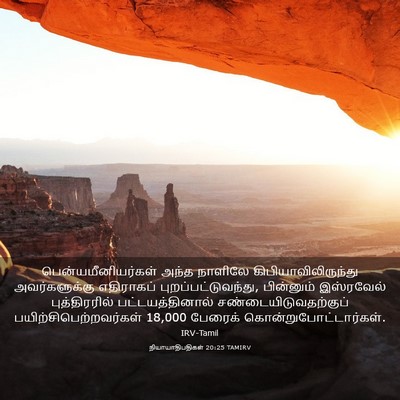 Picture 03 - நியாயாதிபதிகள் 20:25 TAMIRV - பென்யமீனியர்கள் - Bible Verse Picture