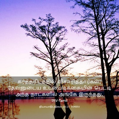 Picture 03 - நியாயாதிபதிகள் 20:27 TAMIRV - கர்த்தரிடத்தில் - Bible Verse Picture