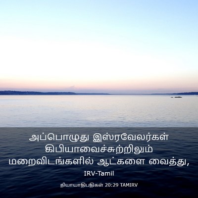 Picture 03 - நியாயாதிபதிகள் 20:29 TAMIRV - அப்பொழுது - Bible Verse Picture